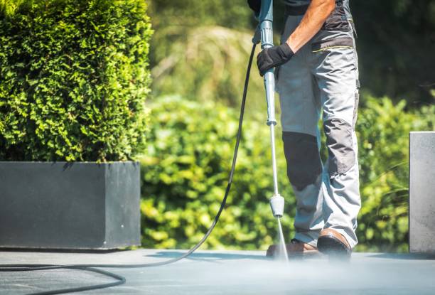 Best Graffiti Removal  in Ellenville, NY