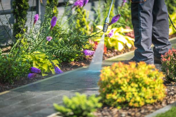 Best Boat and Dock Cleaning  in Ellenville, NY